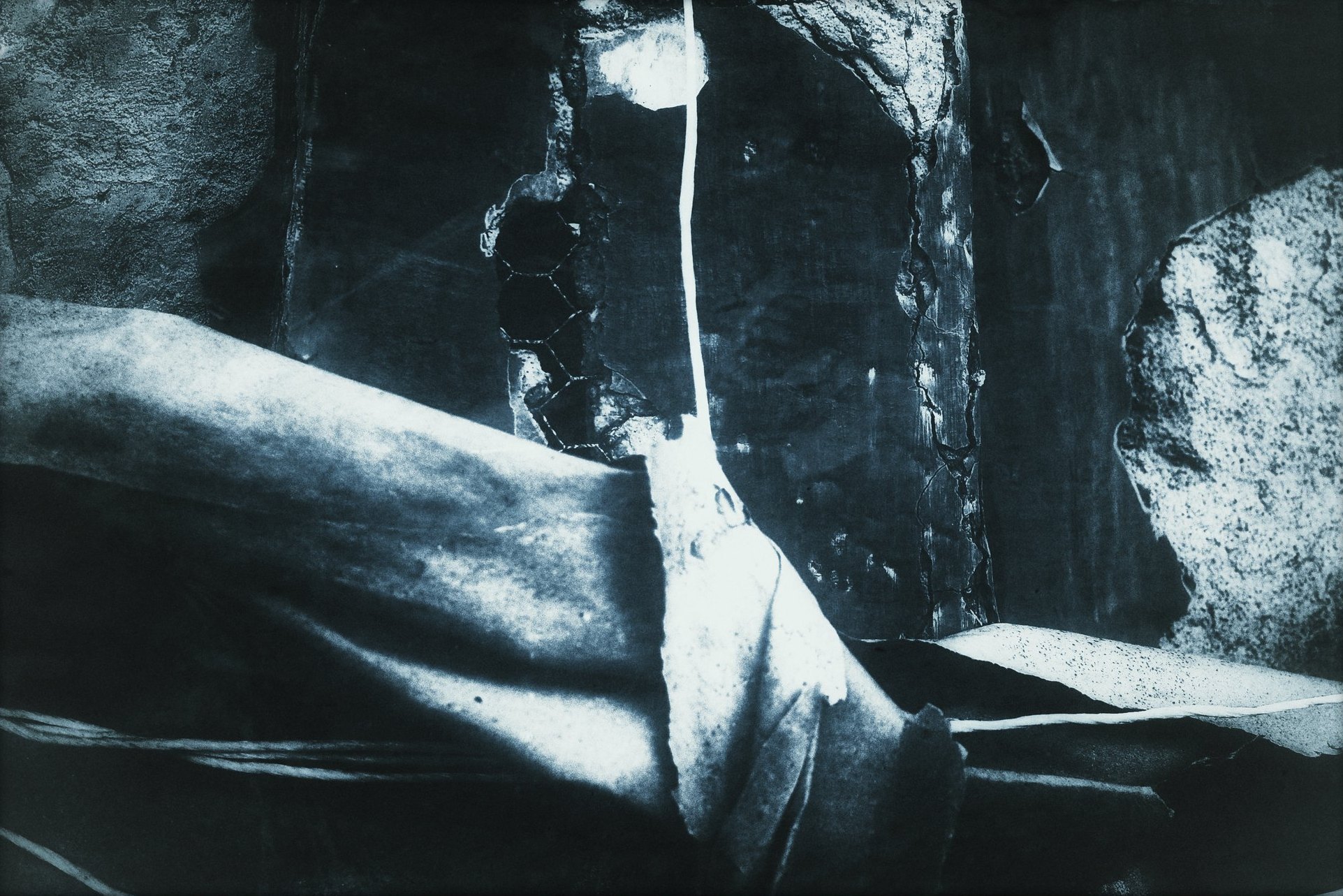 Portfolio 1