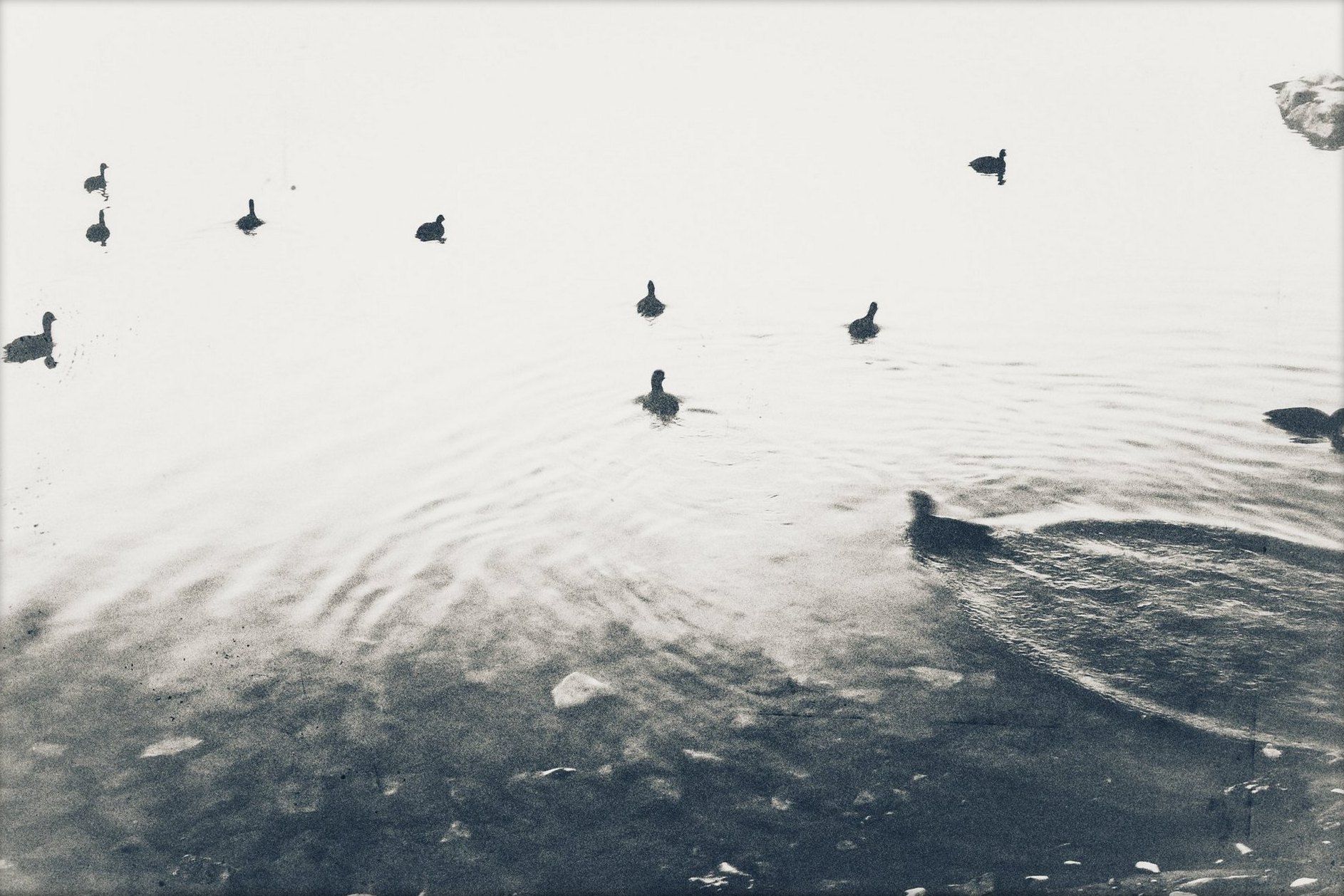 Portfolio 1