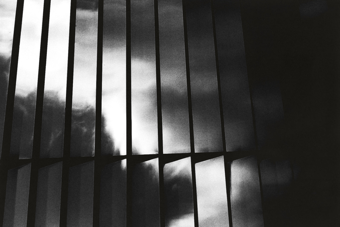 Portfolio 1