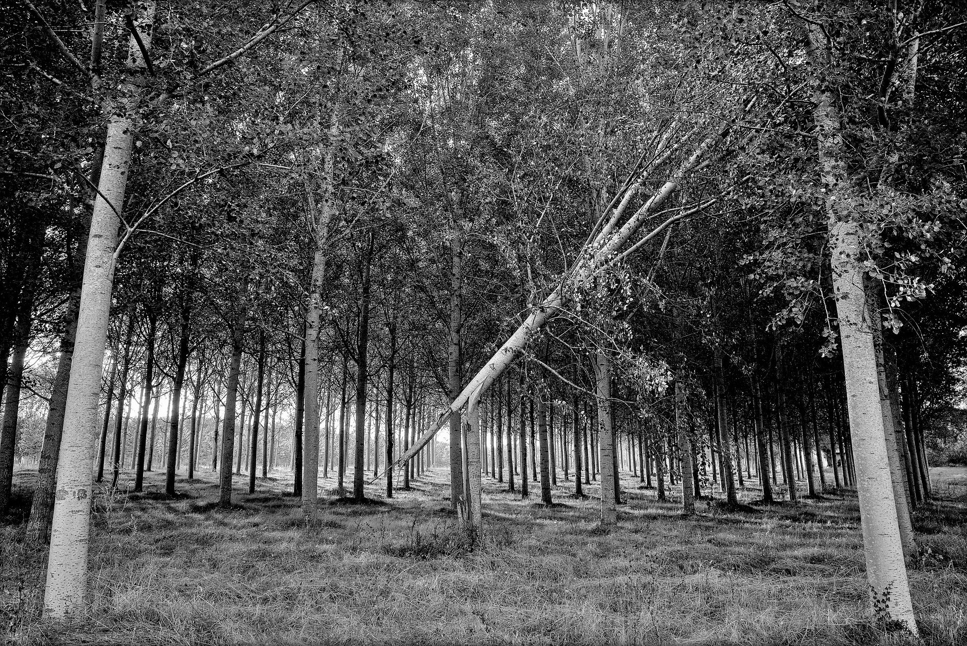 Portfolio 1